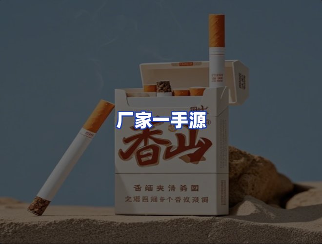 专业团队